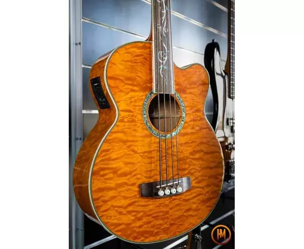 Remise MICHAEL KELLY- DRAGONFLY 4 FLAM FRETLESS + HOUSSE