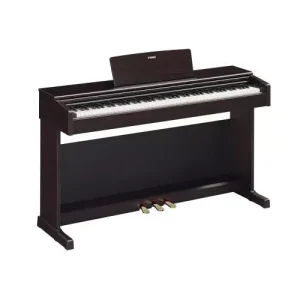 Achat Immédiat ARIUS YDP-145B