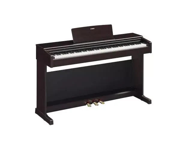 Achat Immédiat ARIUS YDP-145B