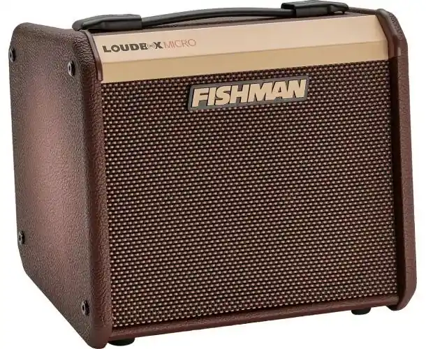 Promotion AMPLI COMBO ACOUSTIQUE LOUDBOX MICRO 40W