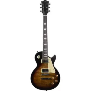Réduction LS 300 TYPE LP HONEY BURST
