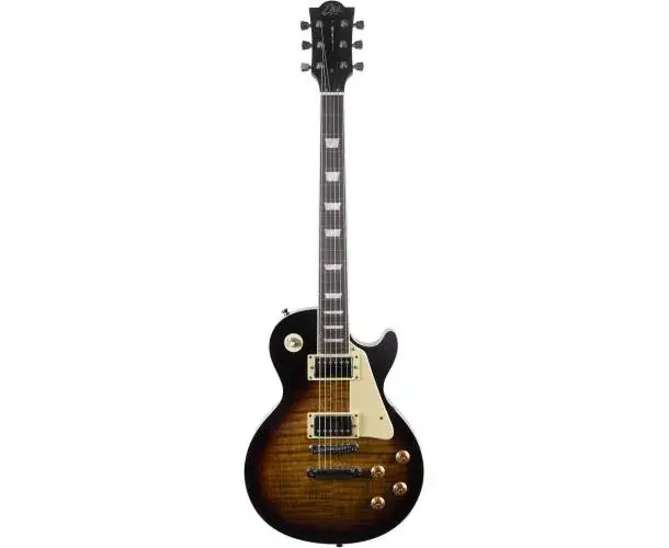 Réduction LS 300 TYPE LP HONEY BURST