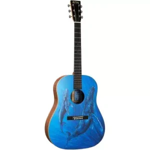 Top Vente DSS BIOSPHERE II