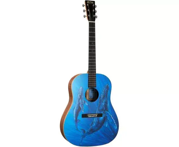 Top Vente DSS BIOSPHERE II