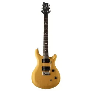 SE CE24 STANDARD SATIN METALLIC GOLD Acheter En Ligne