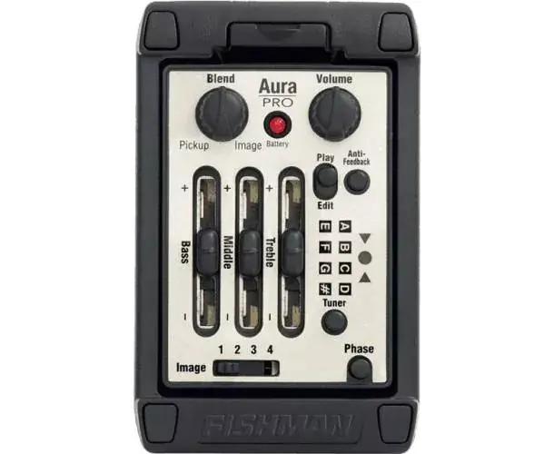 Must-Have AURA PRO FORMAT ETROIT