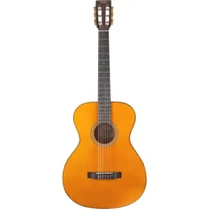 Vente Flash VA434 AUDITORIUM 4/4 VINTAGE NATURELLE