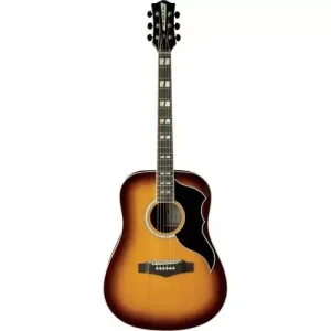 RANGERVR6 HONEY BURST Expédition Rapide