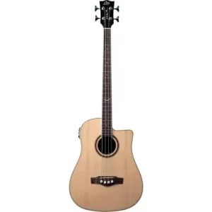 Expédition Rapide NXT-B100 CUTAWAY ELECTRO NATURAL