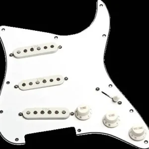 Seymour Duncan STK-S10PGD-W - plaque compléte cablée blanc Expédition Rapide