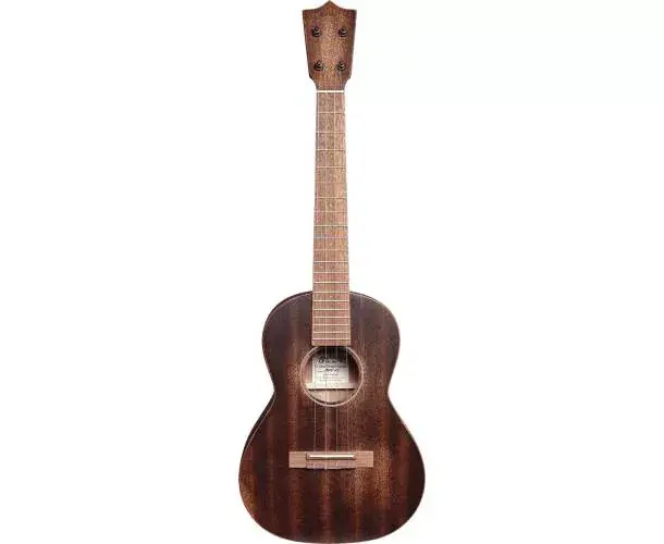 UKULELE T1 STREETMASTER UKE Achetez Aujourd'hui