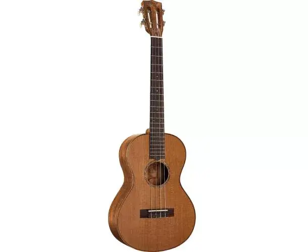 MM4E BARYTON NATUREL ELECTRO + HOUSSE Meilleure Vente