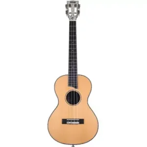 MP4-MEQ2 BARYTON ELECTRO NATUREL TETE PERLEE + HOUSSE Produit De Marque