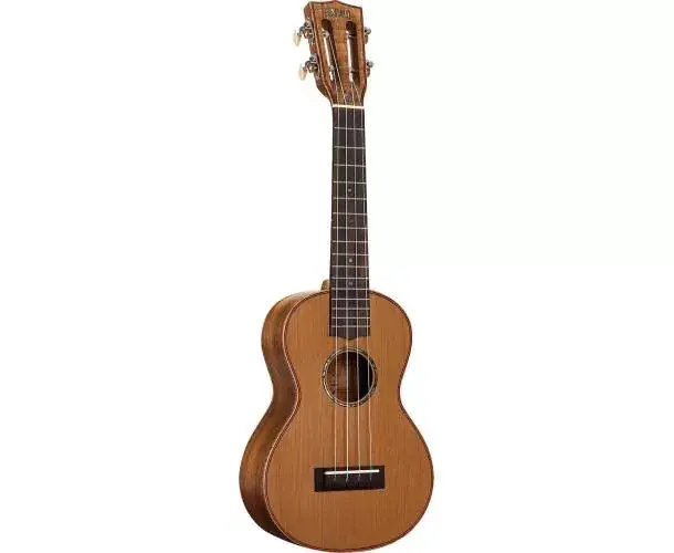 MM2 CONCERT NATUREL + HOUSSE Jusqu'à Épuisement Des Stocks