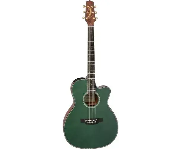LIMITED EDITION 2025 OM CUTAWAY ANTIQUE EVERGREEN Nouvelle Collection