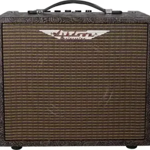 WOODSMAN AMPLI ACOUSTIQUE 25 WATTS Pas Cher