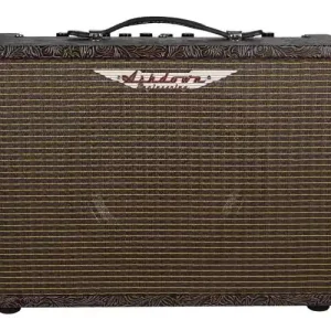 AMPLI ACOUSTIQUE 40 WATTS Réduction