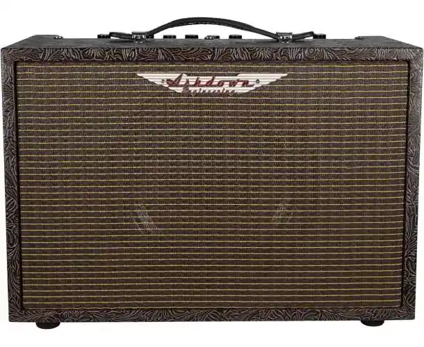 AMPLI ACOUSTIQUE 40 WATTS Réduction