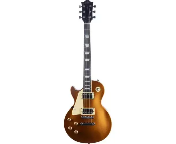 Réduction LS 300 TYPE LP GOLD GAUCHER