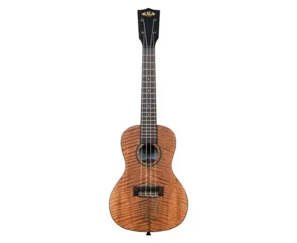 KA-CM-C CURLY MANGO CONCERT LIVRE AVEC HOUSSE Meilleure Vente