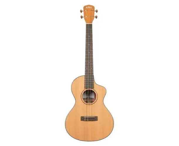 Offre Spéciale KA-CTRG-B BARITON CUTAWAY LIVRE AVEC HOUSSE