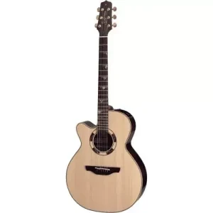 DSF48C LH NEX SANTA FE NATURAL GLOSS Achetez Aujourd'hui