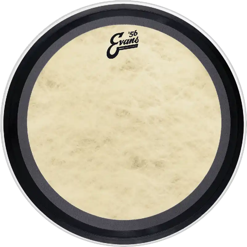 Evans BD20EMADCT - emad calftone gc 20 Expédition Rapide
