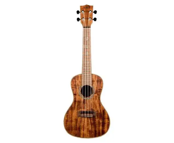 KA-SA-C SOLID ACACIA CONCERT LIVRE AVEC ETUI Haute Qualité