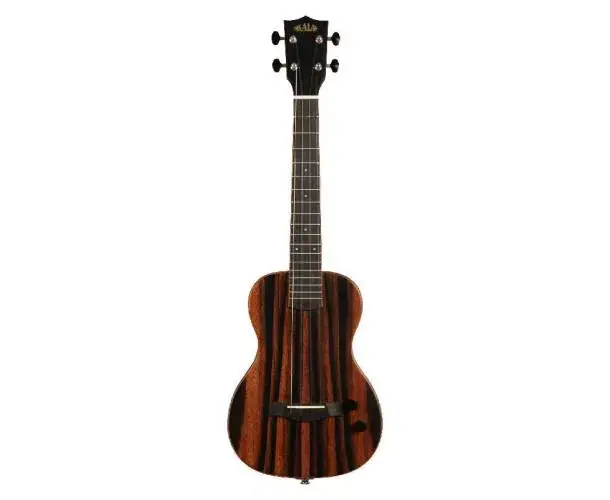 KA-SB-EBY-T SOLID BODY STRIPED EBONY TENOR LIVRE AVEC HOUSSE Vente Flash