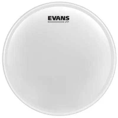 Retour Gratuit Evans B14UV1 - uv1 sablee 14