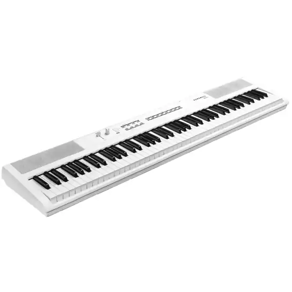 Offre Du Jour KurzweilKA-S1 WH