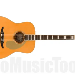 Fender Palomino Vintage - Ovangkol Fingerboard - Gold Pickguard - Aged Natural Nouveauté