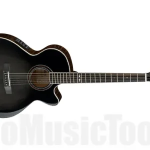 Prix Réduit Cort SFX10 - Translucent Black
