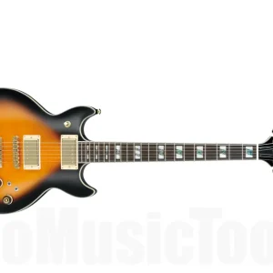 Prix Cassé Ibanez AR220 VB Artist - Vintage Sunburst - b-stock (1x opened box)
