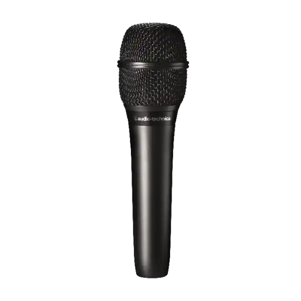 Meilleure Vente Audio-TechnicaAT2010