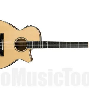 Ibanez AEG10NII NT - Natural Solde