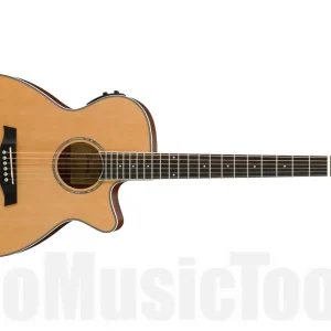 Ibanez AEG15II LG - Low Gloss Commander Vite