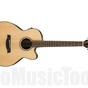 Acheter En Ligne Ibanez AEL108TD NT - Natural