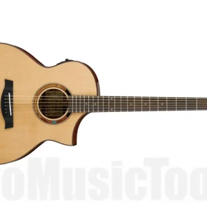 Ibanez AEW120BG NT - Natural Certifié