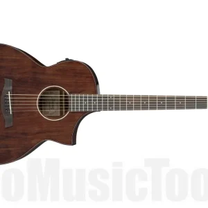 Ibanez AEW40CD NT Artwood - Natural Affaire À Saisir