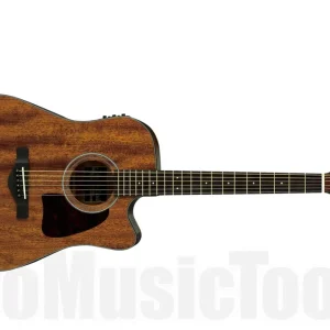 Ibanez AW54CE OPN Artwood - Open Pore Natural Achat Immédiat
