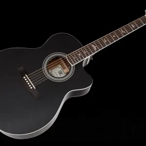 PRS SE Angelus A10E BK - Black - incl. hardcase Achat Immédiat
