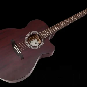 PRS SE Angelus A10E TO - Tortoise Shell Authentique