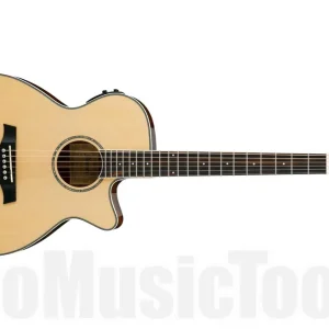 Remise Ibanez AEG10II NT - Natural - b-stock (1x opened box)