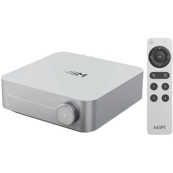 WiiMWiiM Amp Silver Produit De Marque