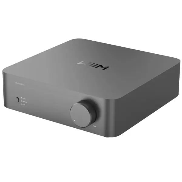 WiiMWiiM VibeLink Amp Space Gray Certifié