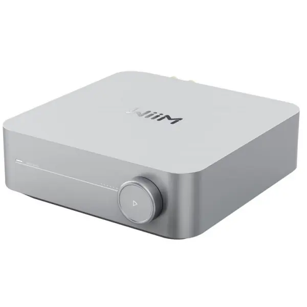 WiiMWiiM VibeLink Amp Silver Solde