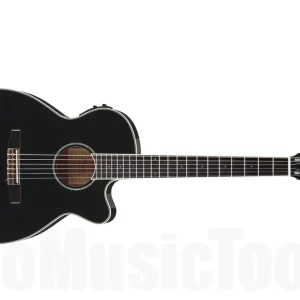 Dernière Chance Ibanez AEG10NII BK - Black