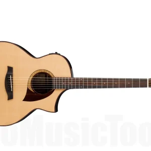Offre Limitée Ibanez AEW22CD NT - Natural