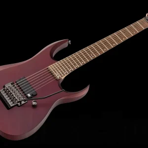 Commander Maintenant Ibanez DCM100 Prestige - Dino Cazares Signature Limited Edition